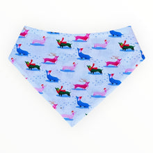 Load image into Gallery viewer, White Doxie Christmas Dog Bandana