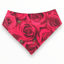 Load image into Gallery viewer, Roses & Candies Dog Bandana