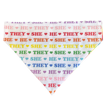 Load image into Gallery viewer, Pride Pronouns Rainbow Dog Bandana