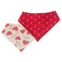 Load image into Gallery viewer, Love Airplane Dog Bandana