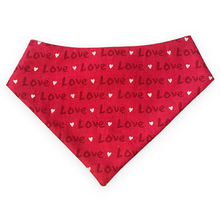 Load image into Gallery viewer, Love Airplane Dog Bandana