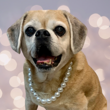 Load image into Gallery viewer, White Pearl Bead Necklace