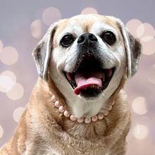 Load image into Gallery viewer, Frosted Pink Bead Necklace