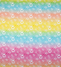 Load image into Gallery viewer, Rainbow Paw Print Dog Bandana