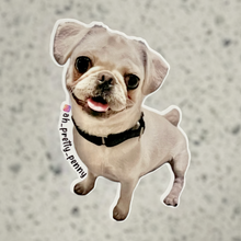 Load image into Gallery viewer, Custom Sticker
