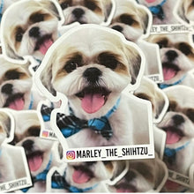 Load image into Gallery viewer, Custom Sticker