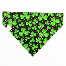 Load image into Gallery viewer, Leprechaun Dog Bandana