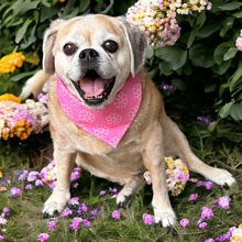 Load image into Gallery viewer, Happy Pink Floral Dog Bandana