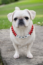 Load image into Gallery viewer, Custom Dog Necklace With Name
