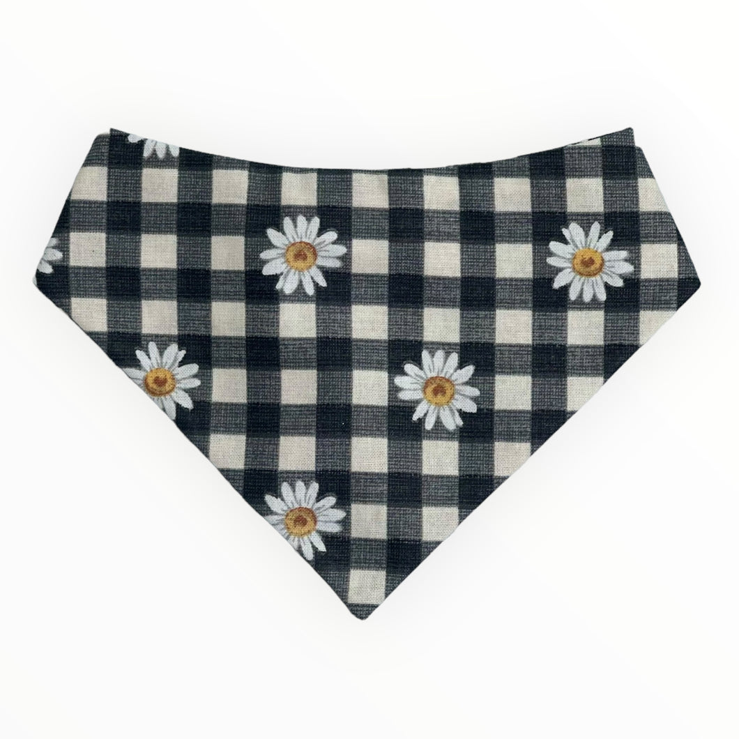 Daisies on Black Checks Dog Bandana