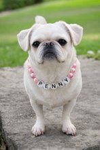 Load image into Gallery viewer, Custom Dog Necklace With Name
