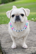 Load image into Gallery viewer, Custom Dog Necklace With Name
