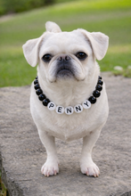 Load image into Gallery viewer, Custom Dog Necklace With Name
