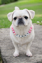 Load image into Gallery viewer, Custom Dog Necklace With Name

