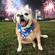 Load image into Gallery viewer, Patriotic Dog Bandana
