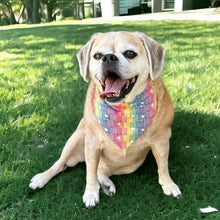 Load image into Gallery viewer, Rainbow Stripe Dog Bandana
