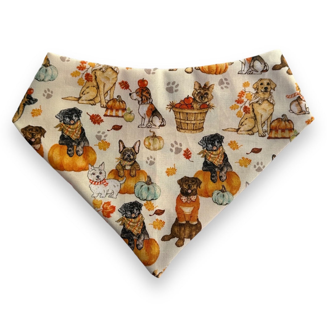 Fall Paws Dog Bandana