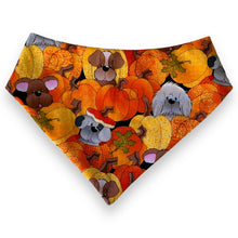 Load image into Gallery viewer, Fall Orange Pumpkin Dog Bandana
