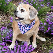 Load image into Gallery viewer, Evil Eye Dog Bandana
