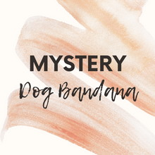 Load image into Gallery viewer, Mystery Dog Bandana
