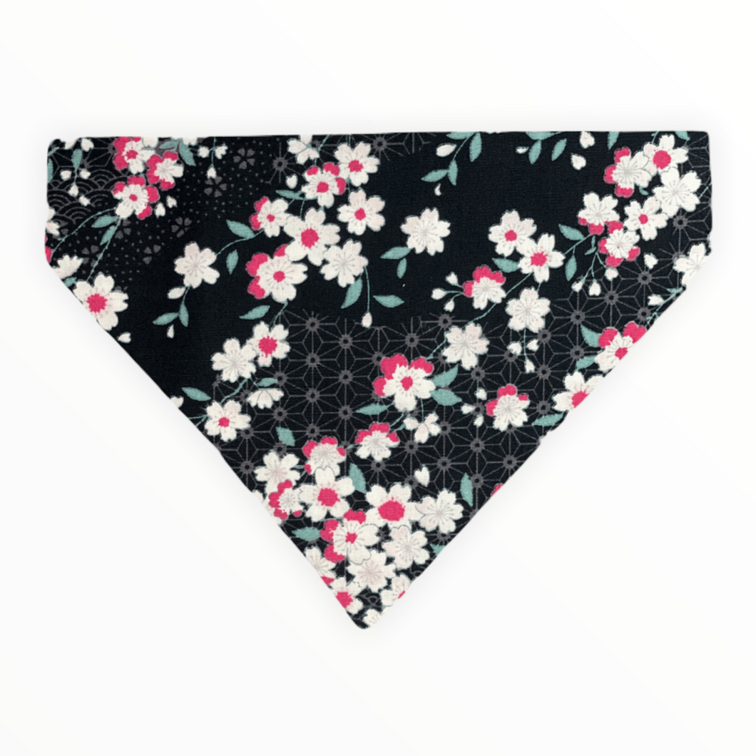 Cherry Blossom Black Dog Bandana