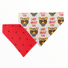 Load image into Gallery viewer, Wild About You Dog Bandana
