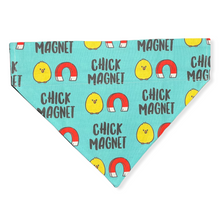 Load image into Gallery viewer, Chick Magnet Dog Bandana
