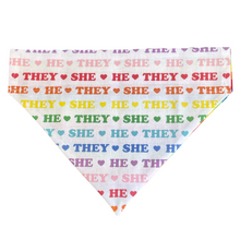 Load image into Gallery viewer, Pride Pronouns Rainbow Dog Bandana
