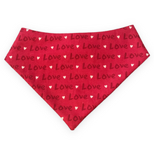 Load image into Gallery viewer, Love Airplane Dog Bandana
