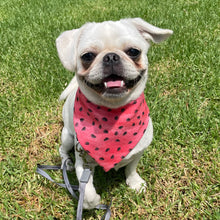 Load image into Gallery viewer, Watermelon Dog Bandana
