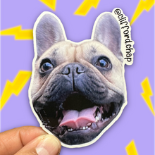 Load image into Gallery viewer, Custom Die Cut Magnet
