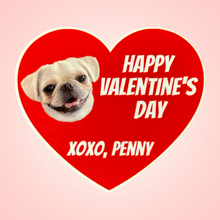 Load image into Gallery viewer, Valentine’s Day Stickers
