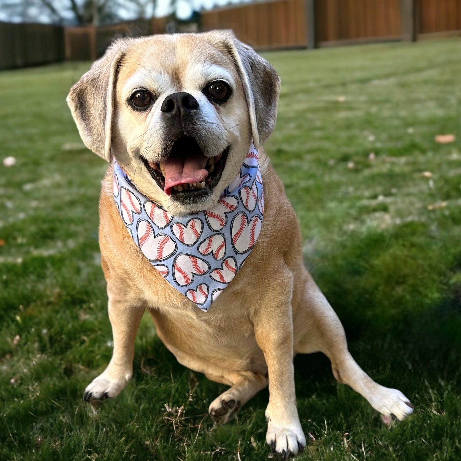 Baseball Dog Bandana