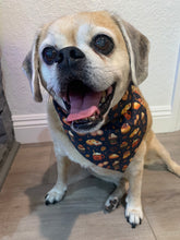 Load image into Gallery viewer, Pumpkin Delights Dog Bandana
