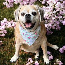 Load image into Gallery viewer, White and Pink on Mint Dog Bandana
