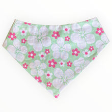 Load image into Gallery viewer, White and Pink on Mint Dog Bandana
